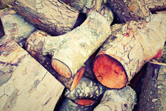 Feagour wood burning boiler costs